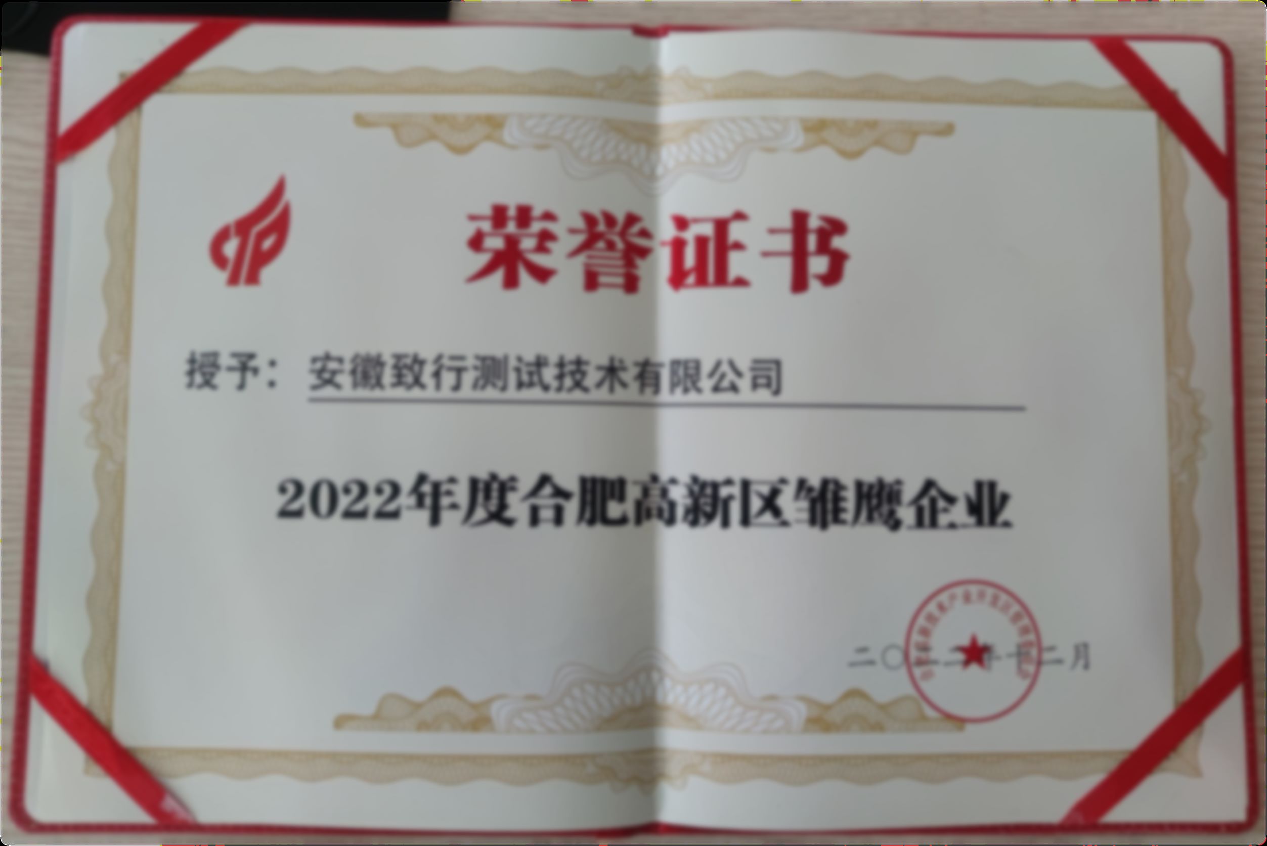 雏鹰企业